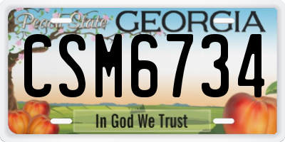 GA license plate CSM6734