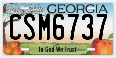 GA license plate CSM6737
