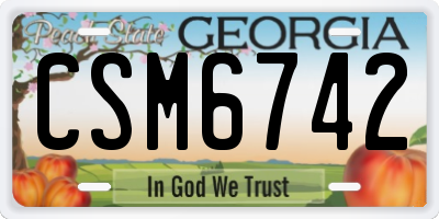 GA license plate CSM6742