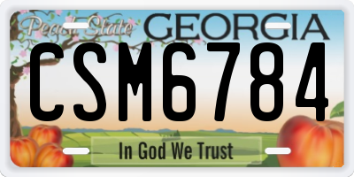 GA license plate CSM6784