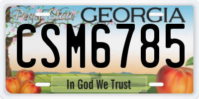 GA license plate CSM6785