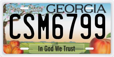 GA license plate CSM6799