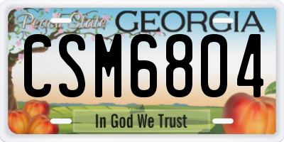 GA license plate CSM6804