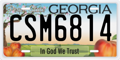 GA license plate CSM6814