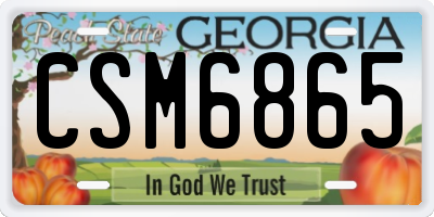 GA license plate CSM6865
