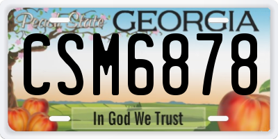 GA license plate CSM6878