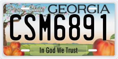 GA license plate CSM6891