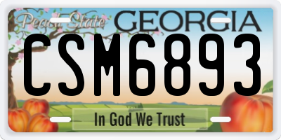 GA license plate CSM6893
