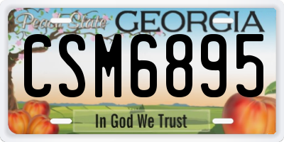 GA license plate CSM6895