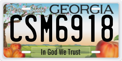 GA license plate CSM6918