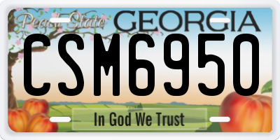 GA license plate CSM6950