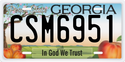 GA license plate CSM6951
