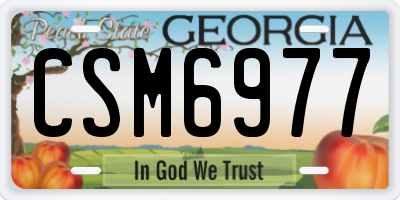 GA license plate CSM6977