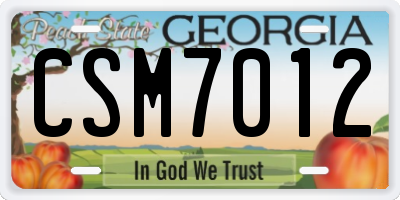GA license plate CSM7012