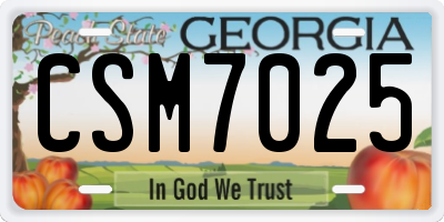 GA license plate CSM7025