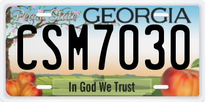 GA license plate CSM7030