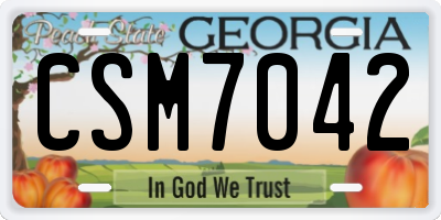 GA license plate CSM7042
