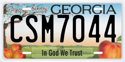 GA license plate CSM7044