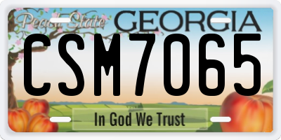 GA license plate CSM7065