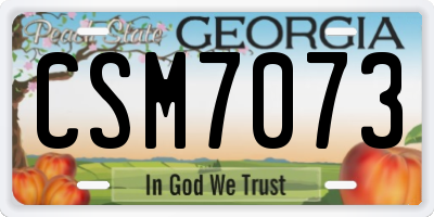 GA license plate CSM7073