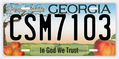 GA license plate CSM7103