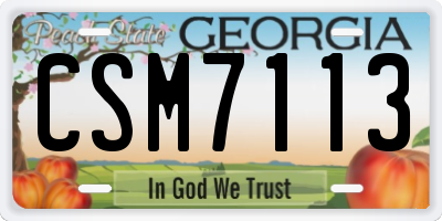 GA license plate CSM7113