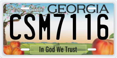 GA license plate CSM7116
