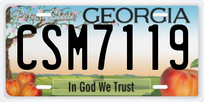 GA license plate CSM7119