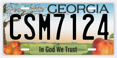 GA license plate CSM7124