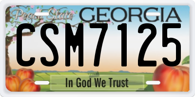 GA license plate CSM7125