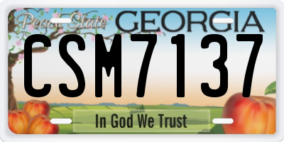 GA license plate CSM7137