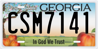 GA license plate CSM7141