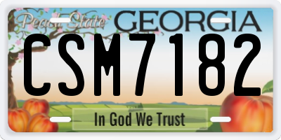 GA license plate CSM7182