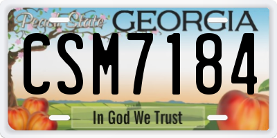GA license plate CSM7184