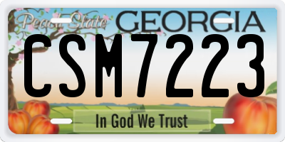 GA license plate CSM7223