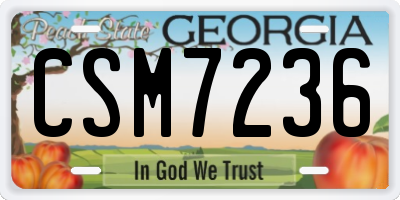 GA license plate CSM7236