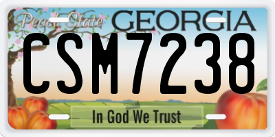 GA license plate CSM7238