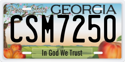 GA license plate CSM7250
