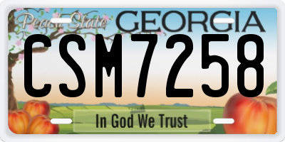 GA license plate CSM7258