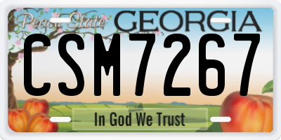 GA license plate CSM7267