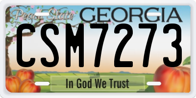 GA license plate CSM7273