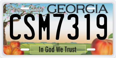 GA license plate CSM7319