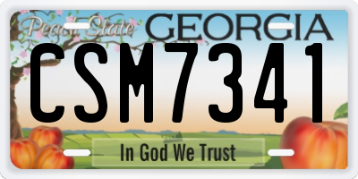 GA license plate CSM7341