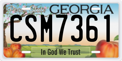 GA license plate CSM7361