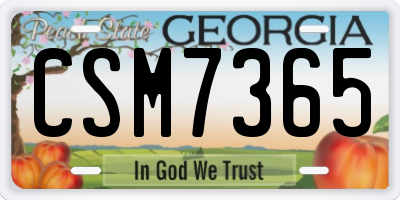 GA license plate CSM7365