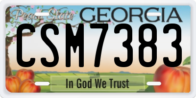 GA license plate CSM7383