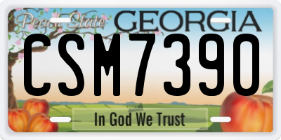 GA license plate CSM7390
