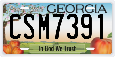 GA license plate CSM7391