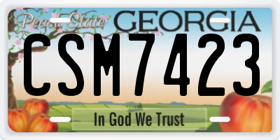 GA license plate CSM7423