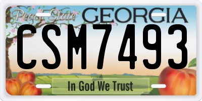 GA license plate CSM7493